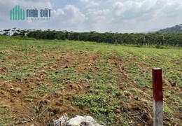 CƠ HỘI ĐẦU TƯ SIÊU HOT! NGỘP BANK – GIẢM GIÁ CHỈ CÒN HƠN 1 TỶ – SỞ HỮU NGAY LÔ ĐẤT MẶT TIỀN ĐƯỜNG