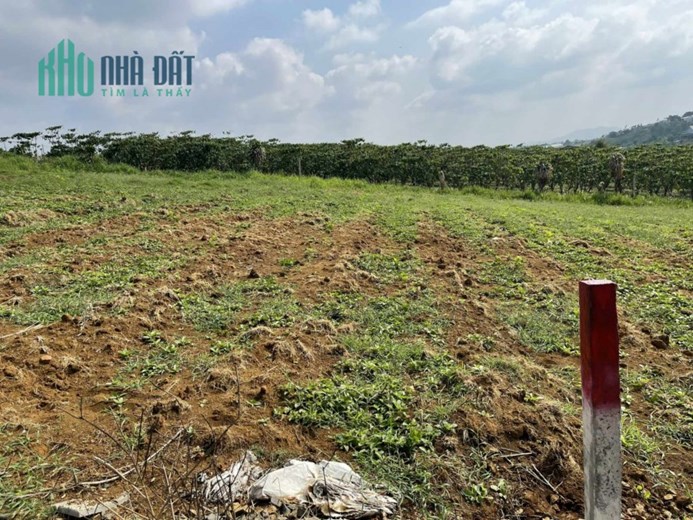 CƠ HỘI ĐẦU TƯ SIÊU HOT! NGỘP BANK – GIẢM GIÁ CHỈ CÒN HƠN 1 TỶ – SỞ HỮU NGAY LÔ ĐẤT MẶT TIỀN ĐƯỜNG