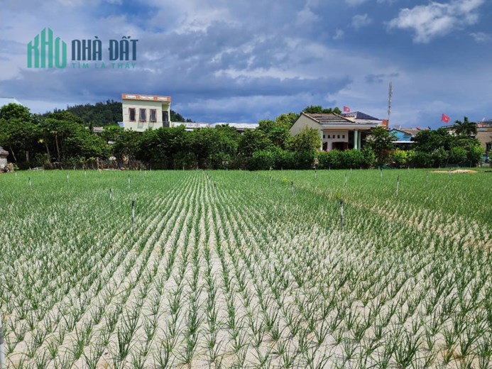 Bán đất trồng cây hàng năm tại đảo Lý Sơn, Quảng Ngãi giá siêu rẻ.