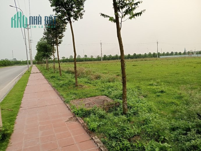 CHUYỂN NHƯỢNG Đất Khu Công Nghiệp Tại ÂN THI. HƯNG YÊN