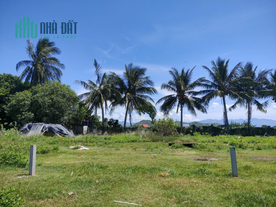 Chính chủ bán đất Phước Thể Tuy Phong