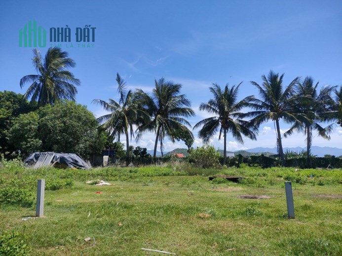 Chính chủ bán đất Phước Thể Tuy Phong