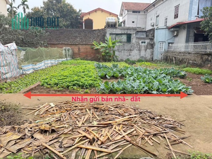 Bán đất thổ cư tiềm năng tại Thôn 1, Thạch Đà, Mê Linh, Hà Nội - Vị trí vàng, giá đầu tư hấp dẫn!