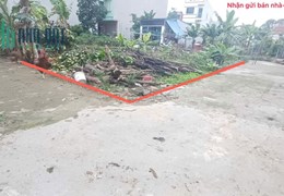 Bán đất thôn Vệ, Nam Hồng, Đông Anh, HN. Lô góc. Gần chợ, trường quốc tế, UBND xã Nam Hồng.