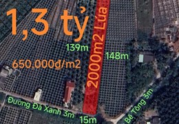 Bán lô đất lúa chuyển thổ làm nhà vườn giá 1,3 tỷ