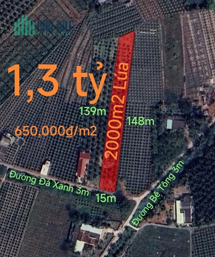 Bán lô đất lúa chuyển thổ làm nhà vườn giá 1,3 tỷ
