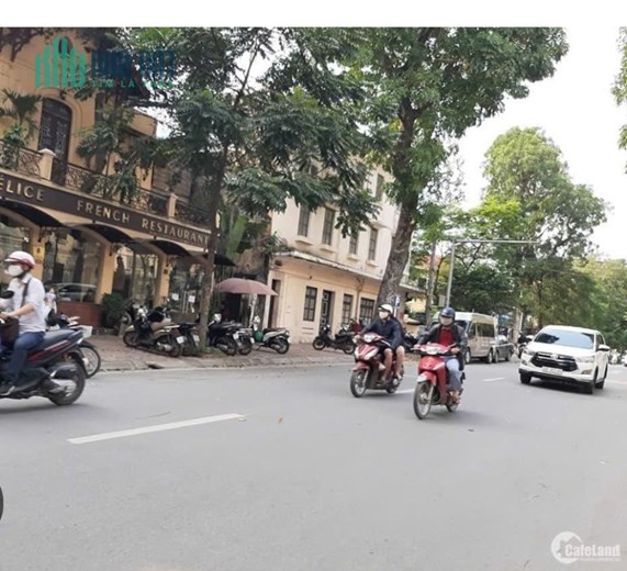 BÁN ĐẤT PHỐ NGÔ THÌ NHẬM, HAI BÀ TRƯNG, HÀ NỘI 159.9 TỶ, 230M2, GIÁ RẺ TẶNG NHÀ 3 TẦNG, KINH DOANH