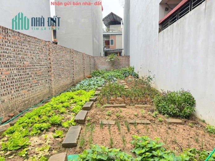 Bán đất thôn Do Thượng, Tiền Phong, Mê Linh, HN. Đường rộng, oto đỗ đất. Gần khu thu nhập thấp