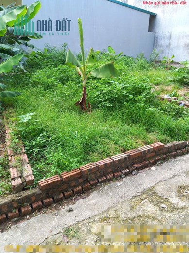 Bán đất Mai Đình, Sóc Sơn, HN. Gần sân bay và khu công nghiệp Nội Bài. Siêu nhỏ, siêu hiếm.