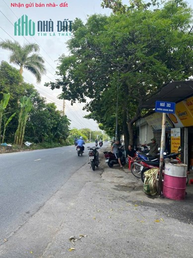Bán đất Chi Đông, Mê Linh, HN. Gần đường Quang Minh và khu công nghiệp, vị trí đắc địa.