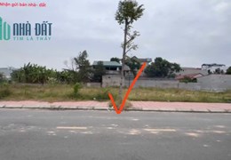 Bán 100m đất đấu giá tổ 4, Quang Minh, Mê Linh. Đường nhựa, vỉa hè, 2 mặt thoáng.