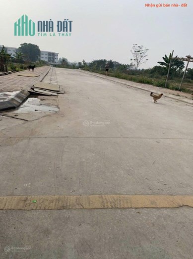 Bán đất đấu giá tổ 3, thị trấn Quang Minh, Mê Linh. Ba bước tới đường Quang Minh, UBND.
