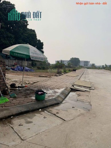 Bán đất đấu giá tổ 3, thị trấn Quang Minh, Mê Linh. Ba bước tới đường Quang Minh, UBND.