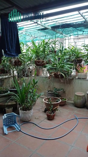 MẶT TIỀN RỘNG THOÁNG, NGÕ NÔNG – 4 tầng Sơn Tây 70m chỉ 15.9 tỷ - SĐCC VUÔNG VẮN