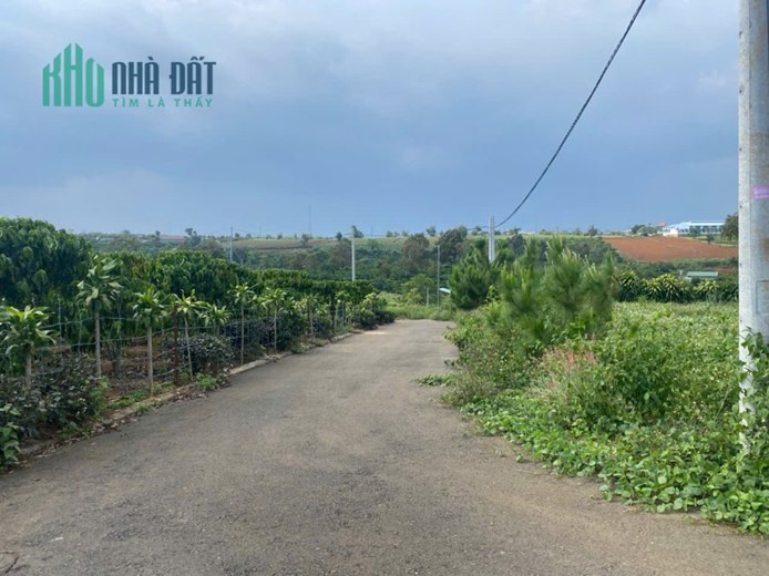 Bán đất xã Lộc An, huyện Bảo Lâm, Lâm Đồng - Hỗ trợ vay ngân hàng 100%