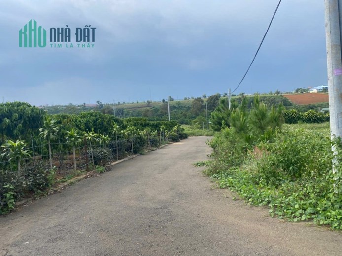 Bán đất xã Lộc An, huyện Bảo Lâm, Lâm Đồng - Hỗ trợ vay ngân hàng 100%