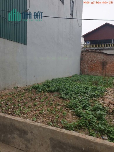 Bán đất thôn Phù Trì, Kim Hoa, Mê Linh. Gần đường vành đai 4. Full thổ cư, ô tô đỗ cửa.