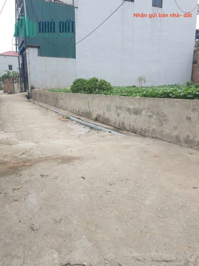 Bán đất thôn Phù Trì, Kim Hoa, Mê Linh. Gần đường vành đai 4. Full thổ cư, ô tô đỗ cửa.