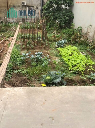 Bán đất tổ 8, TT Quang Minh, Mê Linh. Đất nằm sát siêu thị Mê Minh Plaza, và đường Võ Văn Kiệt