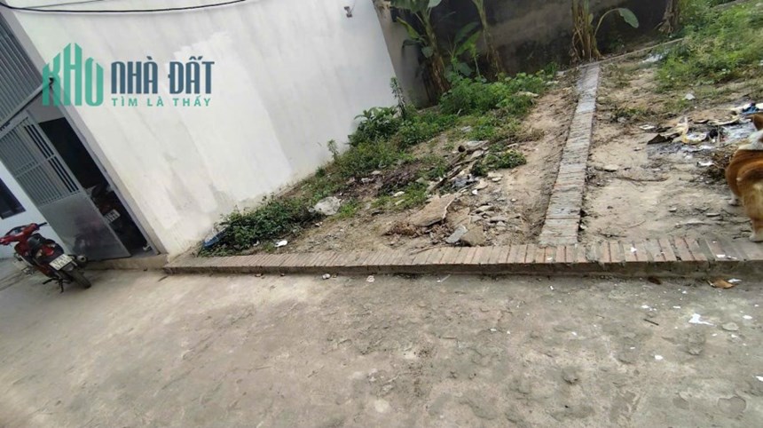 Bán đất tổ 9, Quang Minh, Mê Linh. Gần trường CD Y Dược Tuệ Tĩnh và KCN Quang Minh