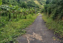 CHÍNH CHỦ BÁN ĐẤT TRỒNG CHÈ – CÀ PHÊ VIEW ĐẸP TẠI ĐẠI LÀO – BẢO LỘC 🌿