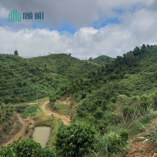 CHÍNH CHỦ BÁN ĐẤT TRỒNG CHÈ – CÀ PHÊ VIEW ĐẸP TẠI ĐẠI LÀO – BẢO LỘC 🌿