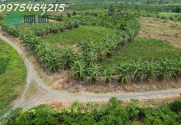 BÁN ĐẤT VIEW SÔNG – HẺM ĐƯỜNG ĐINH CÔNG TRÁNG, TP BẢO LỘC
📍 Xã Lộc Châu, TP Bảo Lộc, Tỉnh Lâm Đồng