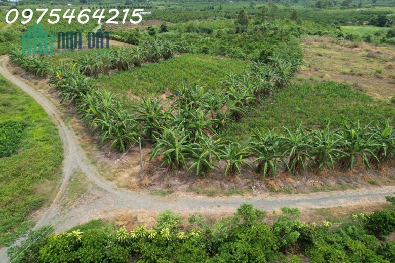 BÁN ĐẤT VIEW SÔNG – HẺM ĐƯỜNG ĐINH CÔNG TRÁNG, TP BẢO LỘC
📍 Xã Lộc Châu, TP Bảo Lộc, Tỉnh Lâm Đồng