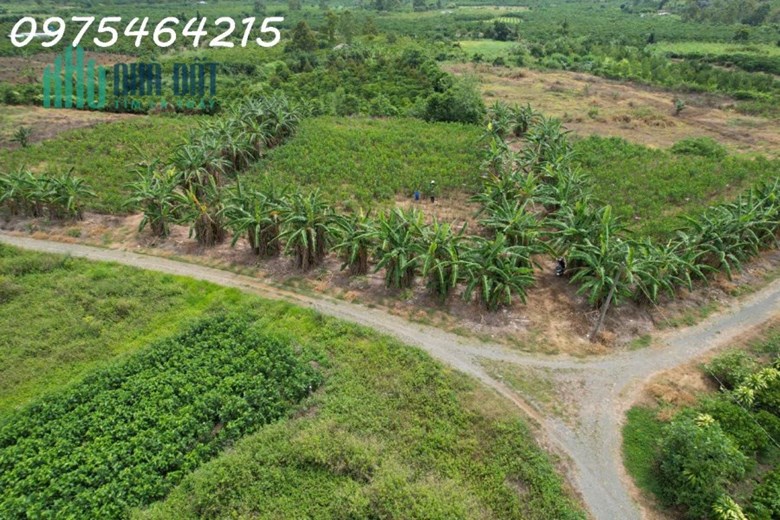 BÁN ĐẤT VIEW SÔNG – HẺM ĐƯỜNG ĐINH CÔNG TRÁNG, TP BẢO LỘC
📍 Xã Lộc Châu, TP Bảo Lộc, Tỉnh Lâm Đồng