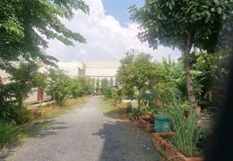 BÁN ĐẤT MẶT TIỀN NGUYỄN THỊ TƯ – PHÚ HỮU, TP. THỦ ĐỨC 8000m2