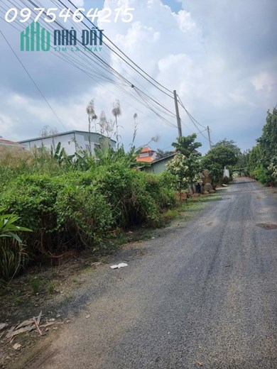 BÁN ĐẤT MẶT TIỀN NGUYỄN THỊ TƯ – PHÚ HỮU, TP. THỦ ĐỨC 8000m2