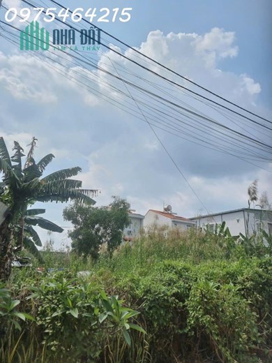 BÁN ĐẤT MẶT TIỀN NGUYỄN THỊ TƯ – PHÚ HỮU, TP. THỦ ĐỨC 8000m2