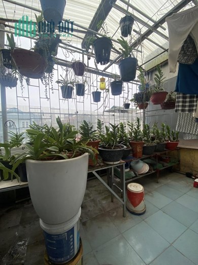 Cực Hiếm Đầu Tư Sinh Lời Phố Trần Khát Trân - Bán Đất Tặng 2 Nhà Xây 4 Tầng,