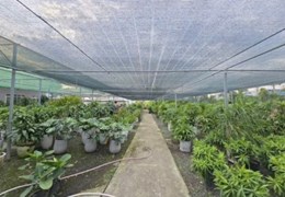 SIÊU PHẨM LÔ GÓC 2 MẶT TIỀN NGUYỄN DUY TRINH – 61×100 – FULL THỔ CƯ