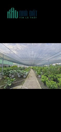 SIÊU PHẨM LÔ GÓC 2 MẶT TIỀN NGUYỄN DUY TRINH – 61×100 – FULL THỔ CƯ