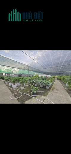 SIÊU PHẨM LÔ GÓC 2 MẶT TIỀN NGUYỄN DUY TRINH – 61×100 – FULL THỔ CƯ