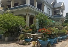 Bán nhà mặt tiền Nguyễn Thái Học, 3250m², có biệt thự + xưởng 1600m, giá 75 tỷ