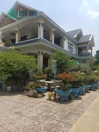Bán nhà mặt tiền Nguyễn Thái Học, 3250m², có biệt thự + xưởng 1600m, giá 75 tỷ