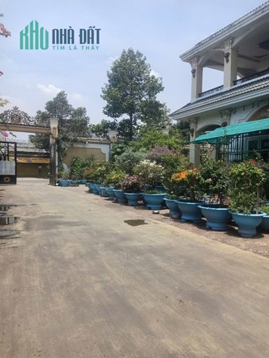 Bán nhà mặt tiền Nguyễn Thái Học, 3250m², có biệt thự + xưởng 1600m, giá 75 tỷ