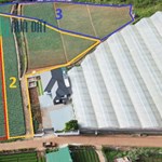 BÁN 6000M2 ĐẤT XÃ HIỆP AN - ĐỨC TRỌNG LÂM ĐỒNG - Giá bán : 13 tỷ