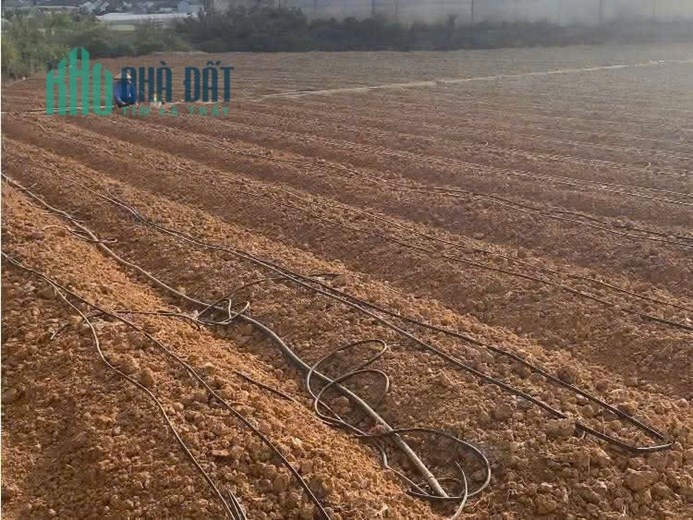 BÁN 6000M2 ĐẤT XÃ HIỆP AN - ĐỨC TRỌNG LÂM ĐỒNG - Giá bán : 13 tỷ