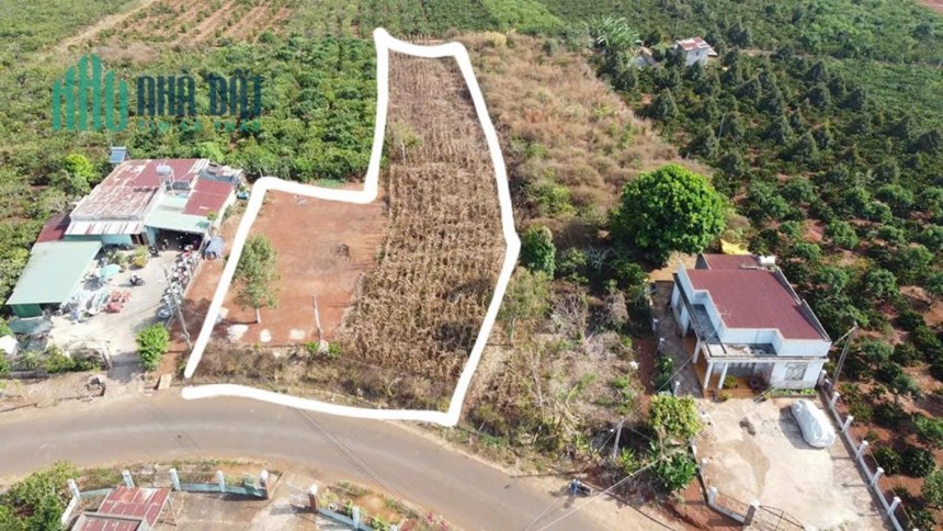 Bán đất mặt tiền Trần Phú thị trấn Di Linh – 2.206m²