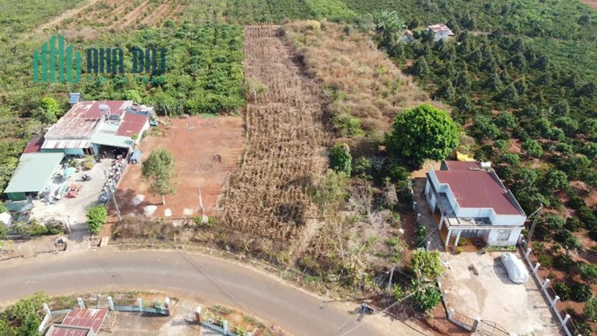 Bán đất mặt tiền Trần Phú thị trấn Di Linh – 2.206m²