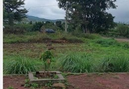 BÁN ĐẤT GẦN ĐƯỜNG THỐNG NHẤT , GẦN KHU CÔNG NGHIỆP PHÚ HỘI -ĐỨC TRỌNG - LÂM ĐỒNG