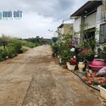CẦN BÁN LÔ ĐẤT THỊ TRẤN LIÊN NGHĨA ĐỨC TRỌNG LÂM ĐỒNG giá chỉ 1.2 tỷ