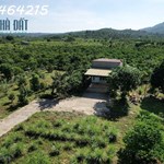 BÁN GẤP 1500m² ĐẤT ĐẸP – ĐƯỜNG ĐINH CÔNG TRÁNG, XÃ LỘC CHÂU, TP. BẢO LỘC – GIÁ CHỈ 1 TỶ 650 TRIỆU!