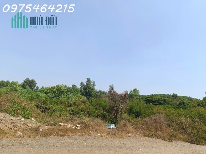 BÁN GẤP 13.8 HECTA ĐẤT MẶT TIỀN ĐƯỜNG 11 – LONG BÌNH, TP. THỦ ĐỨC