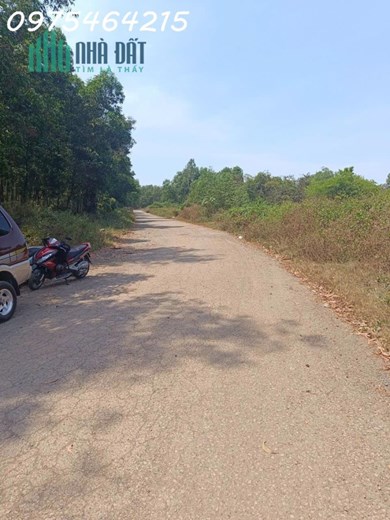 BÁN GẤP 13.8 HECTA ĐẤT MẶT TIỀN ĐƯỜNG 11 – LONG BÌNH, TP. THỦ ĐỨC