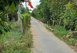 CẦN BÁN GẤP MẢNH VƯỜN SẦU RIÊNG CÂY LỚN – ĐANG CHỜ RA TRÁI!