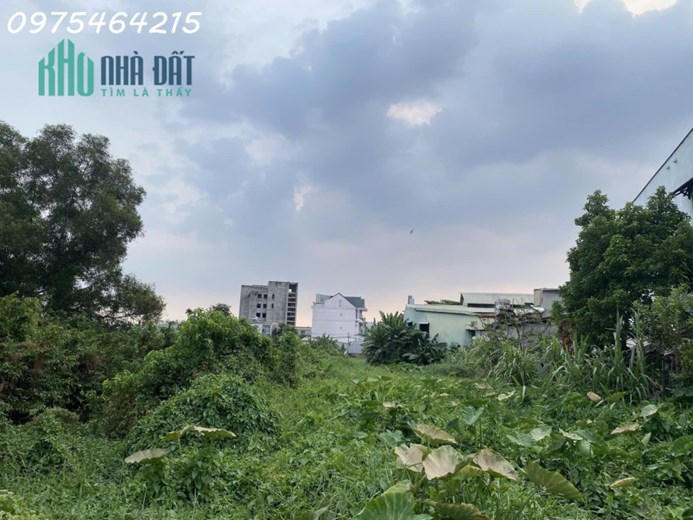 LÔ ĐẤT KHỦNG 8.400M² – NGANG 70M, DÀI 120M – PHƯỜNG TAM PHÚ, THỦ ĐỨC